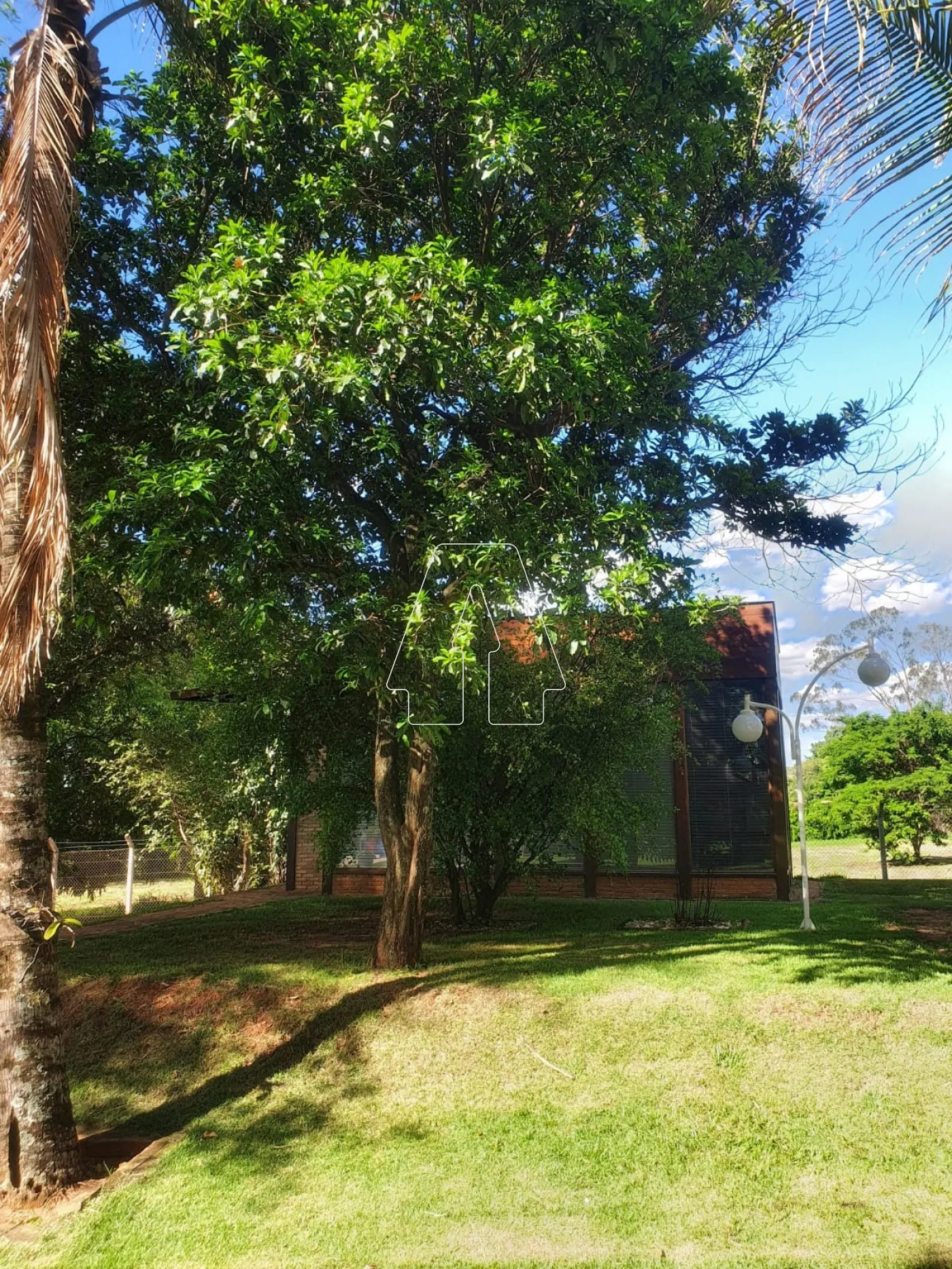 Alugar Casa / Condomínio em Birigüi R$ 11.000,00 - Foto 7