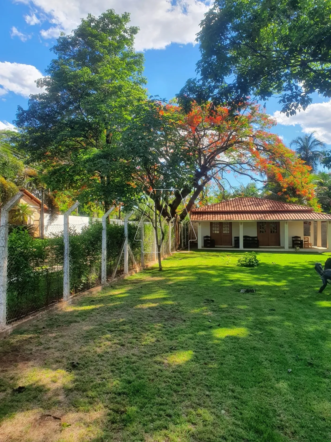 Alugar Casa / Condomínio em Birigüi R$ 11.000,00 - Foto 5