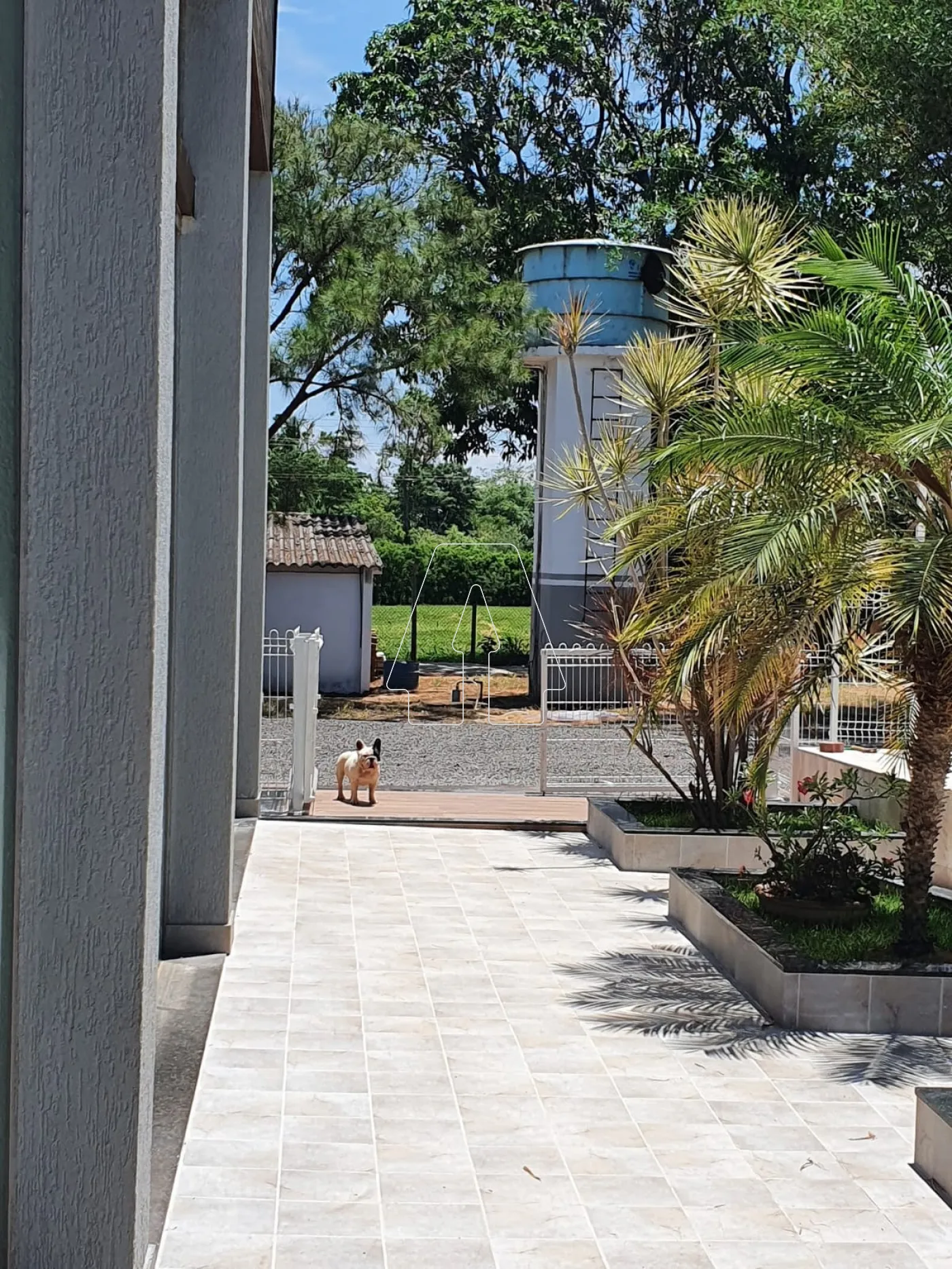 Alugar Casa / Condomínio em Birigüi R$ 11.000,00 - Foto 30