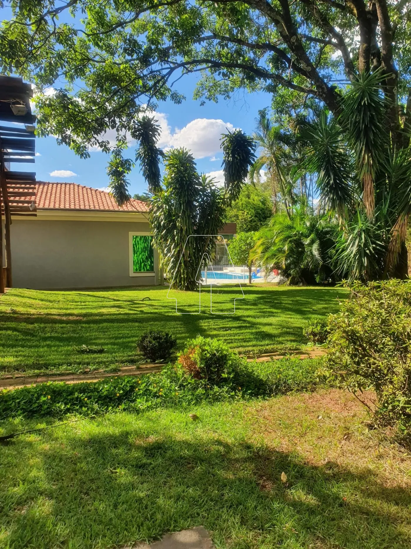 Alugar Casa / Condomínio em Birigüi R$ 11.000,00 - Foto 6