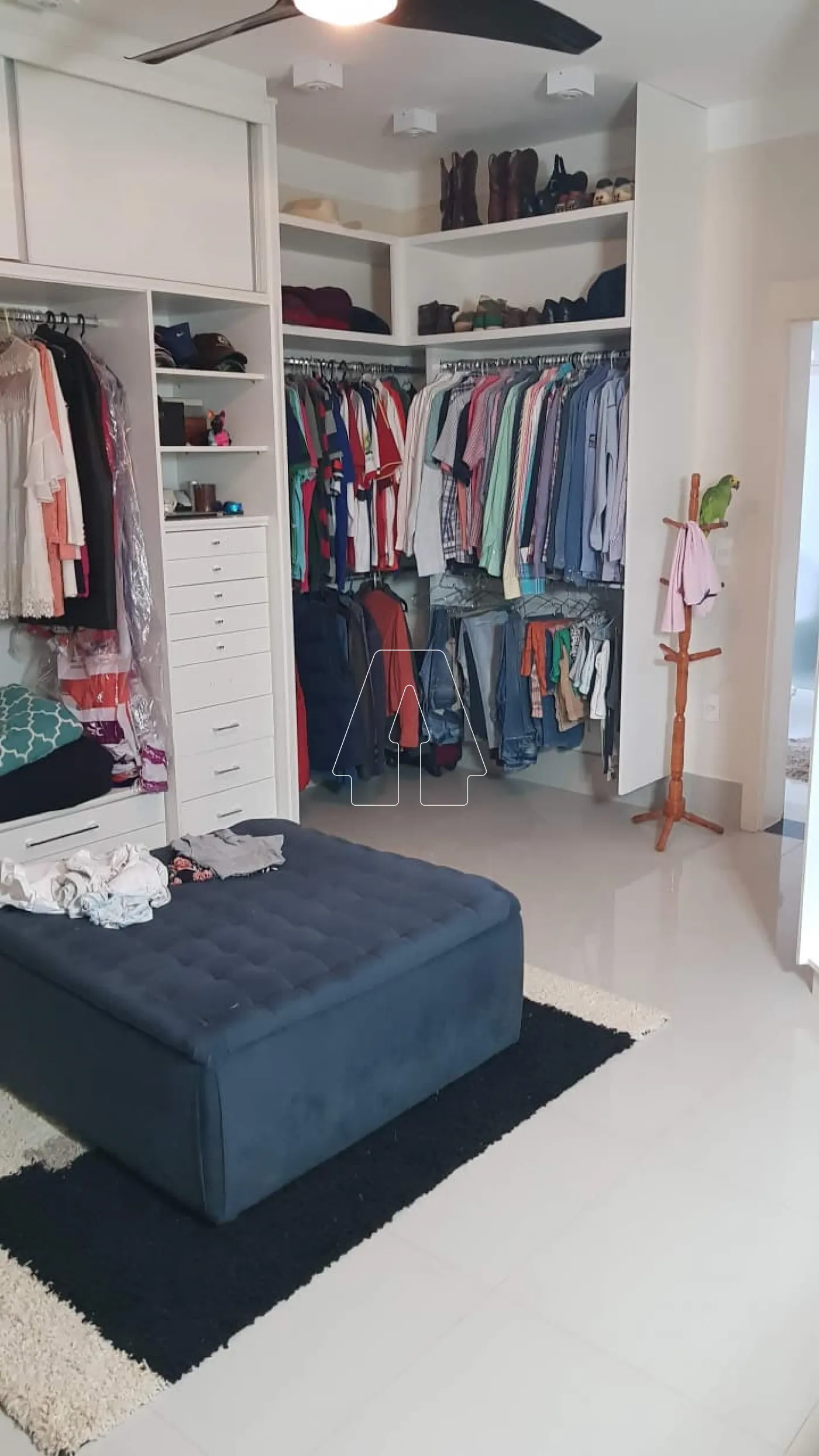 Alugar Casa / Condomínio em Birigüi R$ 11.000,00 - Foto 53