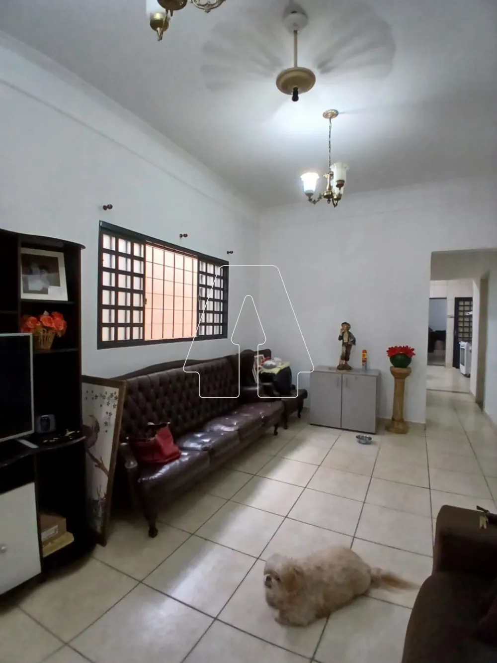 Comprar Casa / Residencial em Araçatuba R$ 550.000,00 - Foto 2