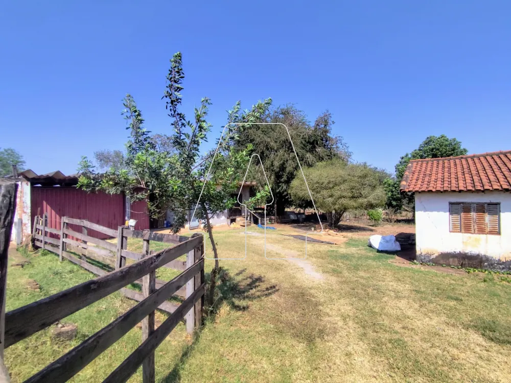 Comprar Rural / Sítio em Guararapes R$ 1.850.000,00 - Foto 3