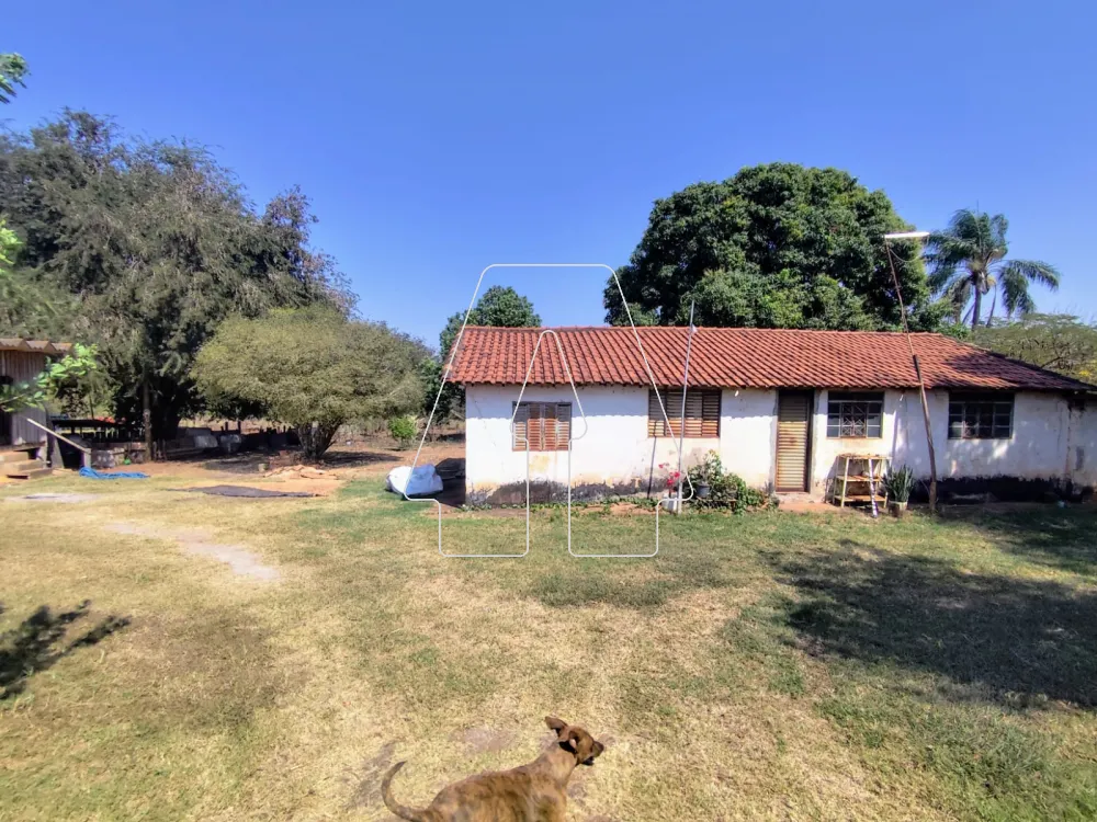 Comprar Rural / Sítio em Guararapes R$ 1.850.000,00 - Foto 4
