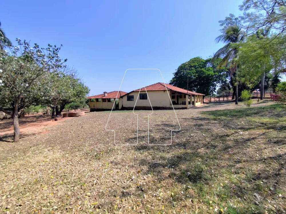 Comprar Rural / Sítio em Guararapes R$ 1.850.000,00 - Foto 5