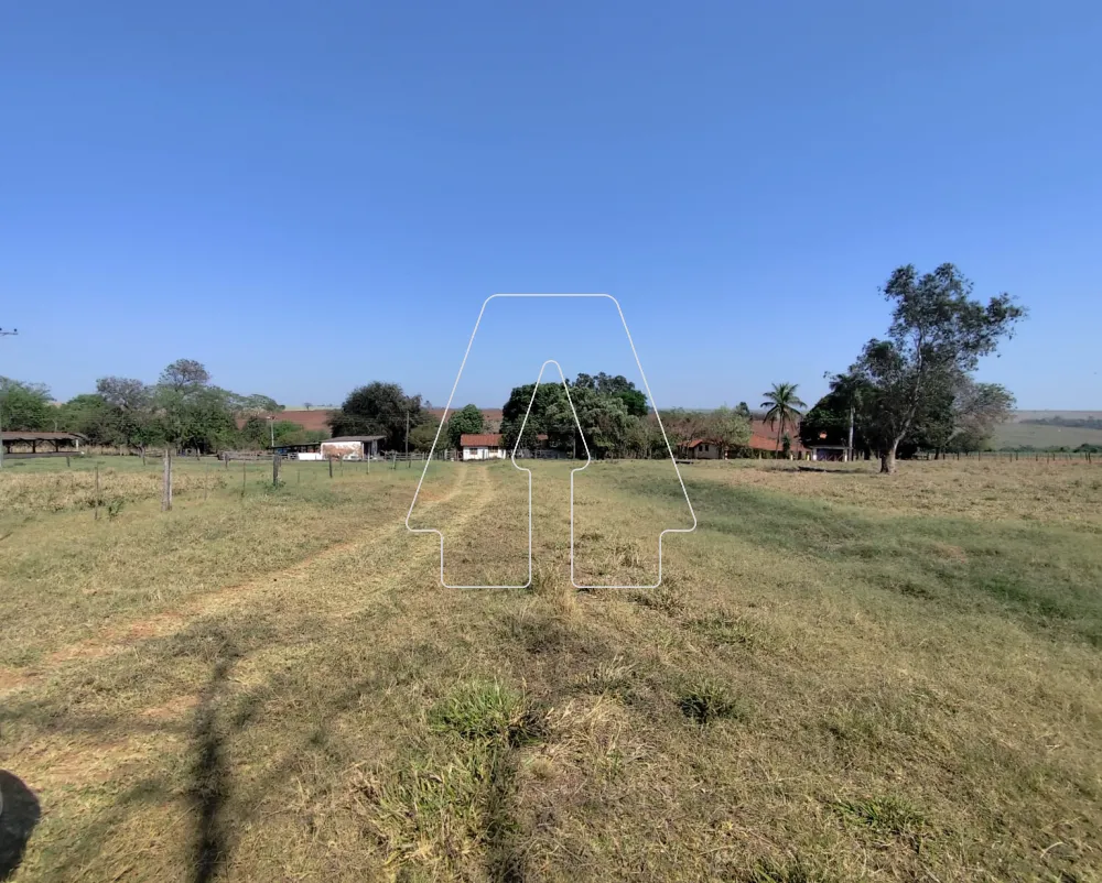 Comprar Rural / Sítio em Guararapes R$ 1.850.000,00 - Foto 6