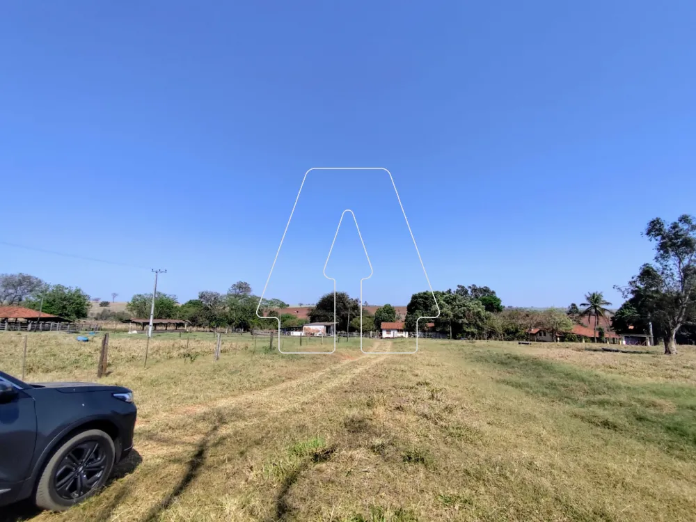 Comprar Rural / Sítio em Guararapes R$ 1.850.000,00 - Foto 7