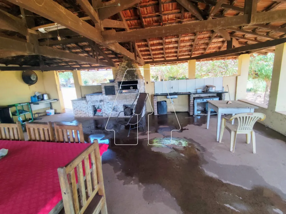 Comprar Rural / Sítio em Guararapes R$ 1.850.000,00 - Foto 10