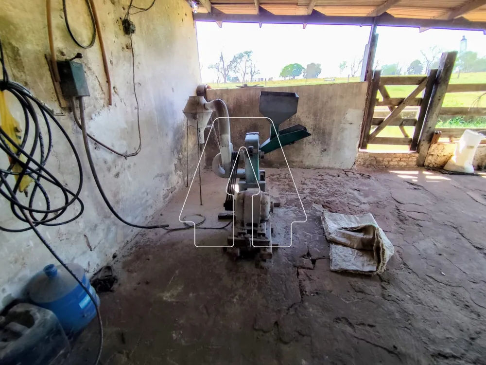 Comprar Rural / Sítio em Guararapes R$ 1.850.000,00 - Foto 9
