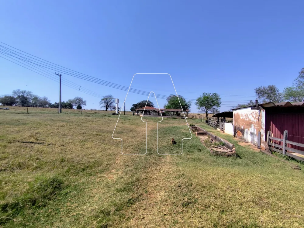 Comprar Rural / Sítio em Guararapes R$ 1.850.000,00 - Foto 12