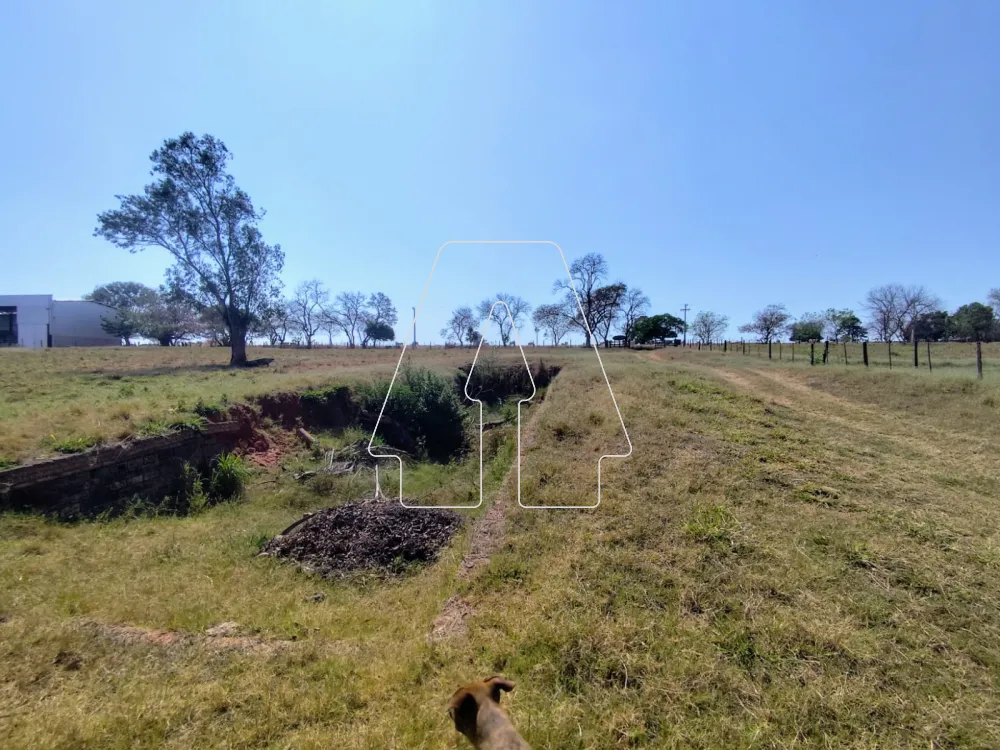 Comprar Rural / Sítio em Guararapes R$ 1.850.000,00 - Foto 13