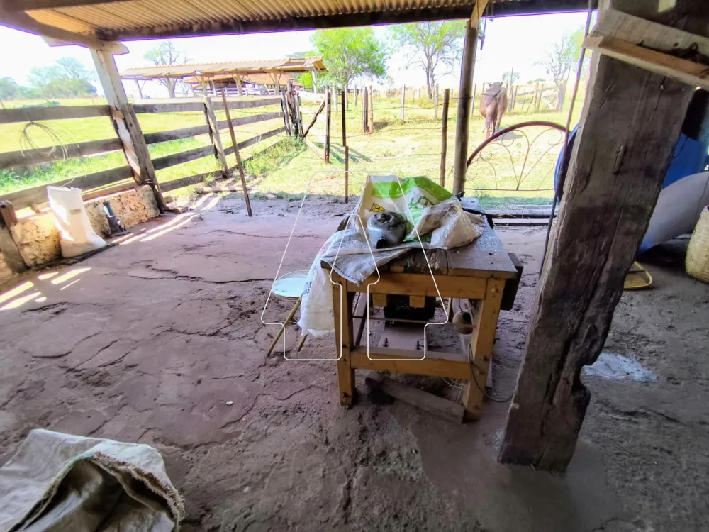 Comprar Rural / Sítio em Guararapes R$ 1.850.000,00 - Foto 16