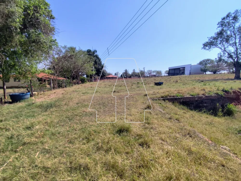 Comprar Rural / Sítio em Guararapes R$ 1.850.000,00 - Foto 17
