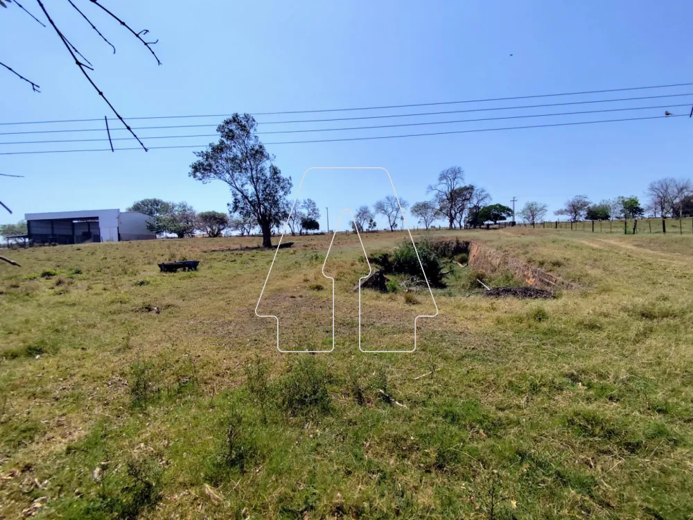 Comprar Rural / Sítio em Guararapes R$ 1.850.000,00 - Foto 18