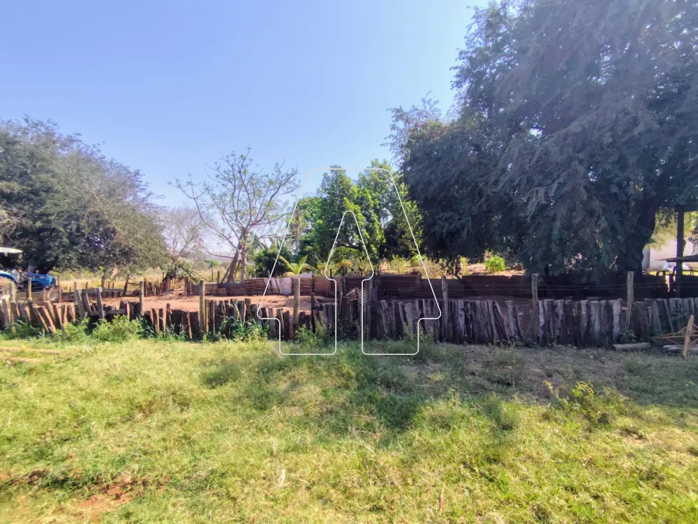 Comprar Rural / Sítio em Guararapes R$ 1.850.000,00 - Foto 21