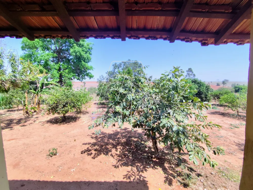 Comprar Rural / Sítio em Guararapes R$ 1.850.000,00 - Foto 22