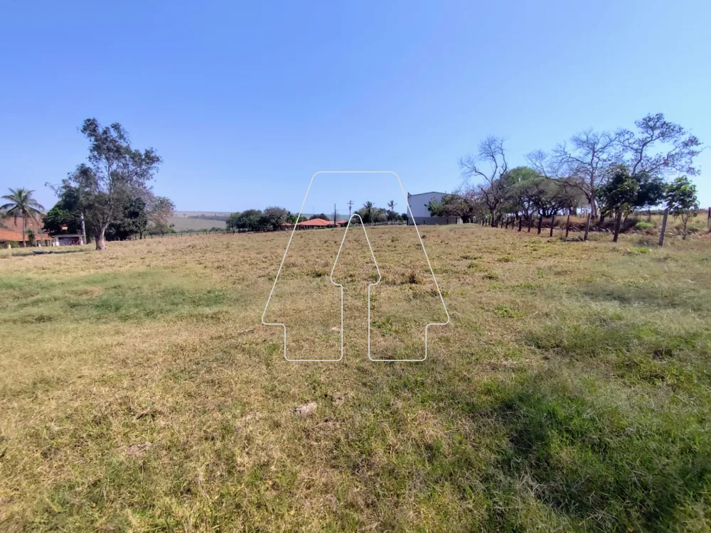 Comprar Rural / Sítio em Guararapes R$ 1.850.000,00 - Foto 23