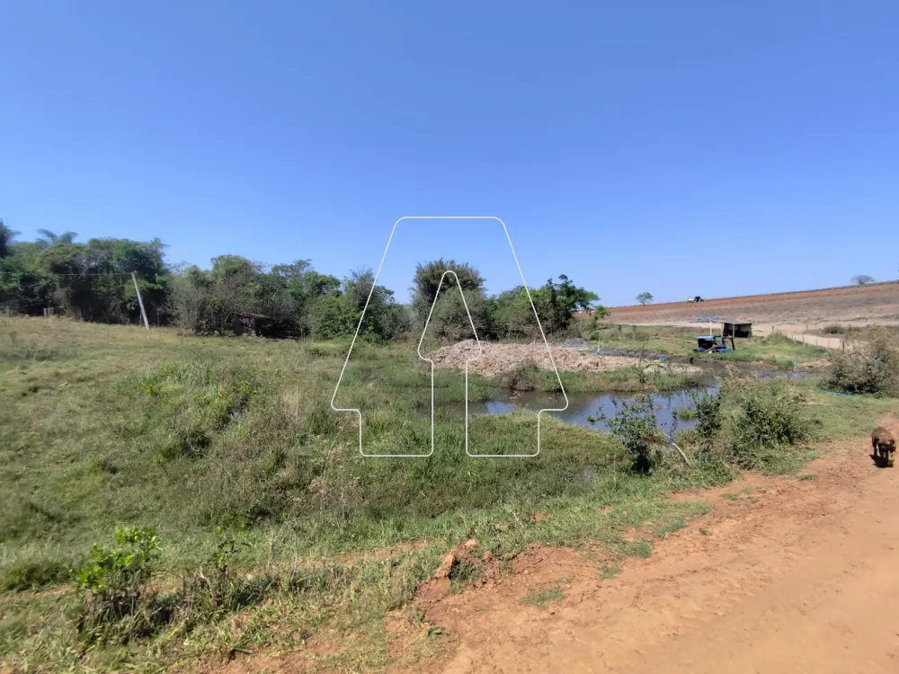 Comprar Rural / Sítio em Guararapes R$ 1.850.000,00 - Foto 24
