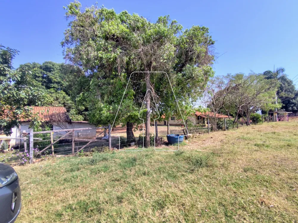 Comprar Rural / Sítio em Guararapes R$ 1.850.000,00 - Foto 25