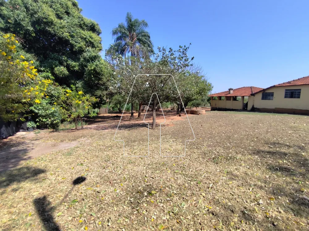 Comprar Rural / Sítio em Guararapes R$ 1.850.000,00 - Foto 31
