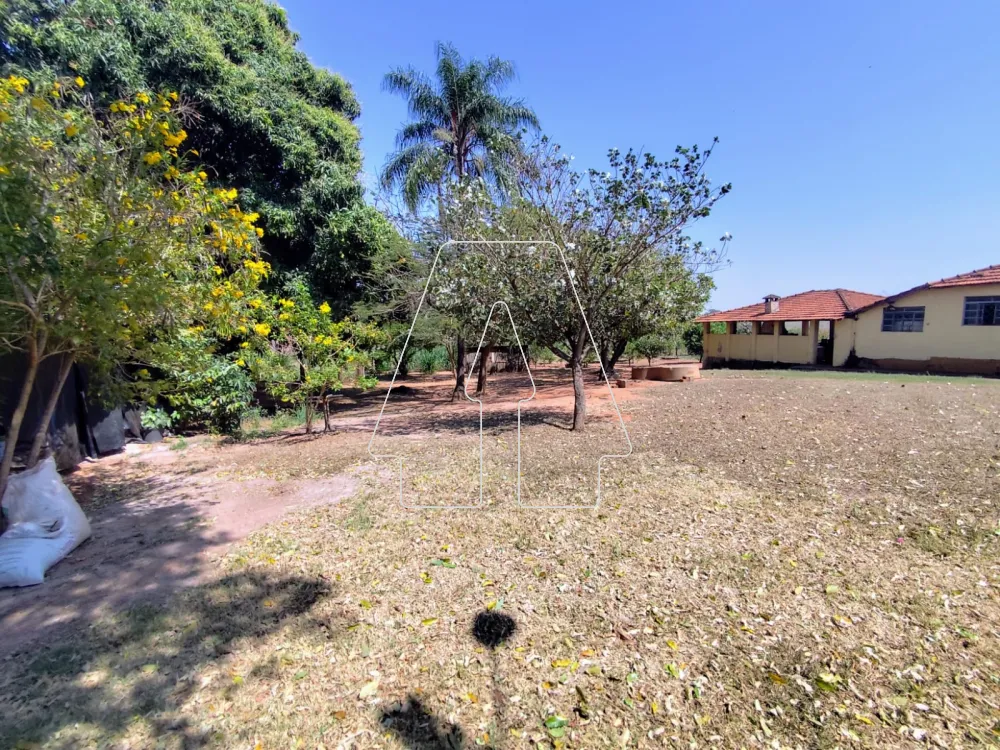 Comprar Rural / Sítio em Guararapes R$ 1.850.000,00 - Foto 32