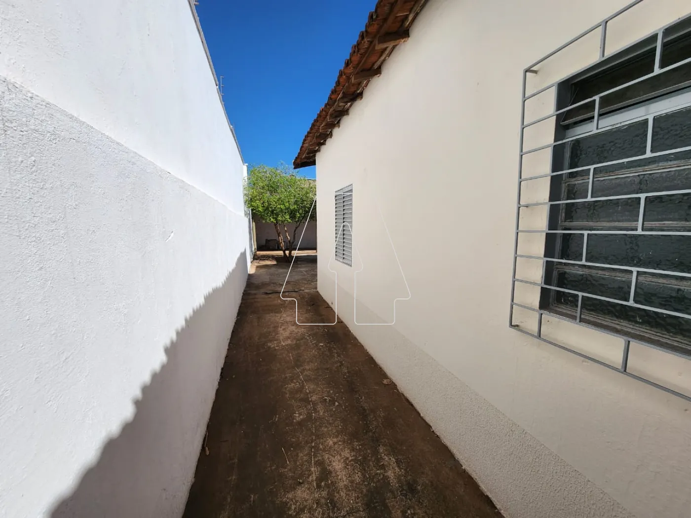 Alugar Casa / Residencial em Araçatuba R$ 2.000,00 - Foto 3