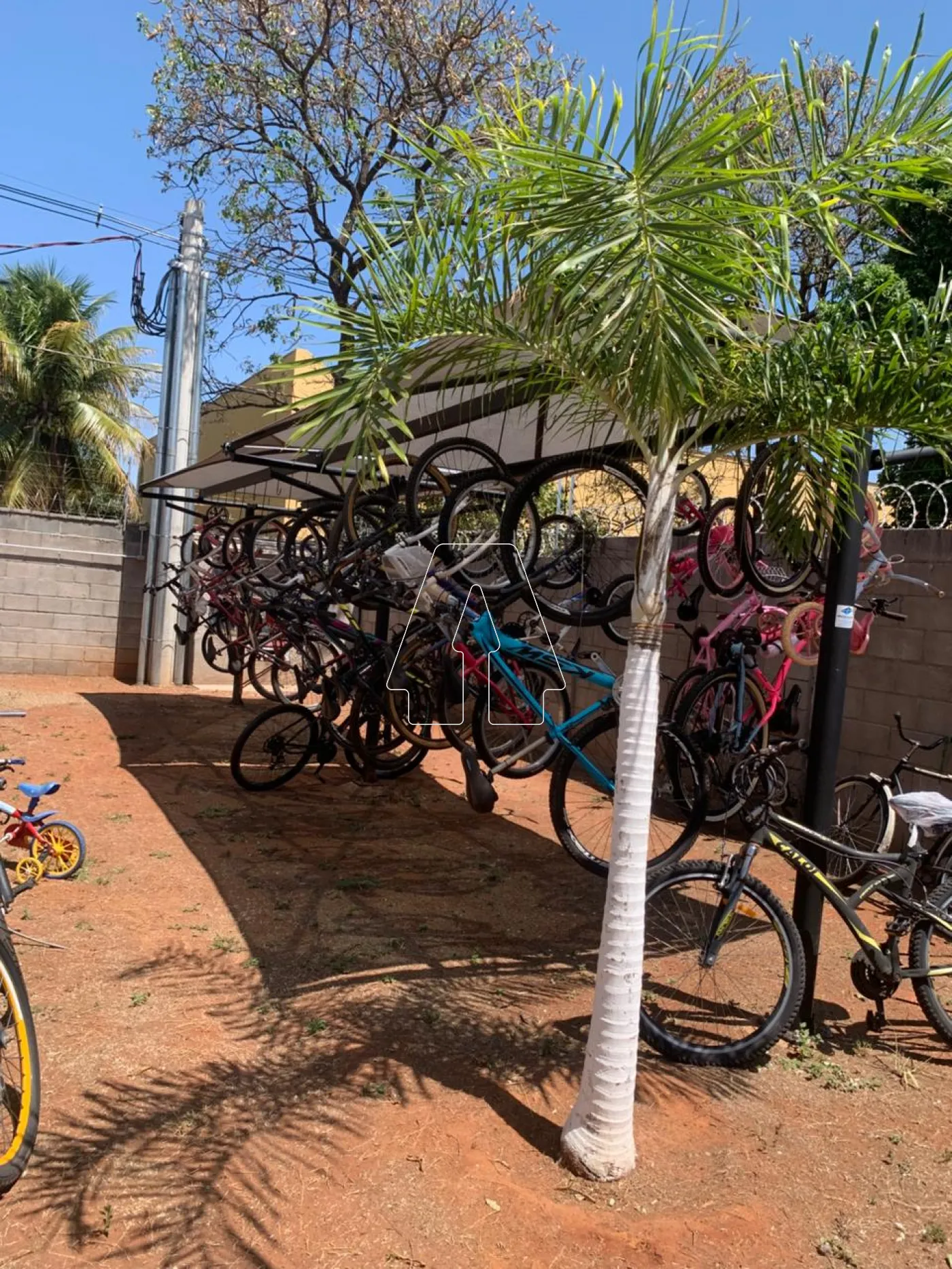 Alugar Apartamento / Padrão em Araçatuba R$ 1.100,00 - Foto 10