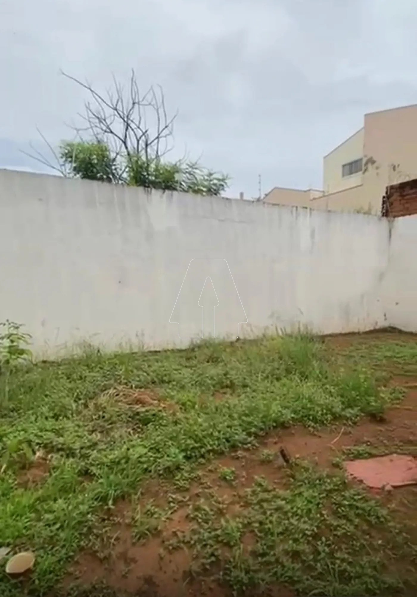 Comprar Casa / Residencial em Araçatuba R$ 270.000,00 - Foto 6