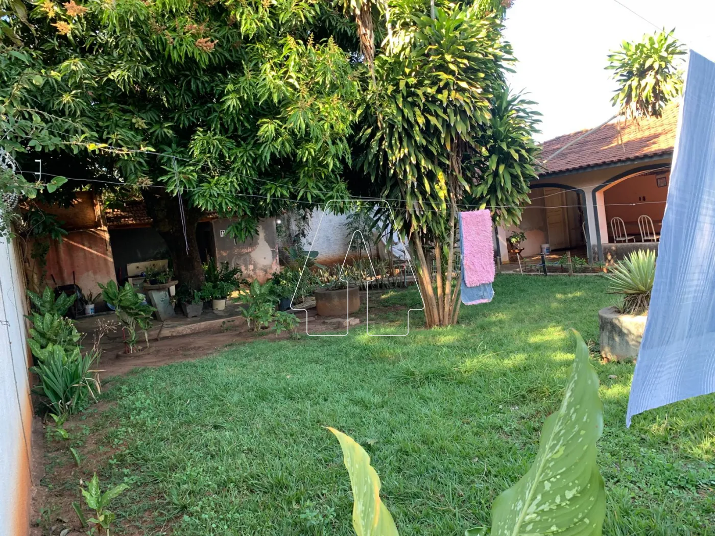 Comprar Rural / Chácara em Araçatuba R$ 680.000,00 - Foto 2