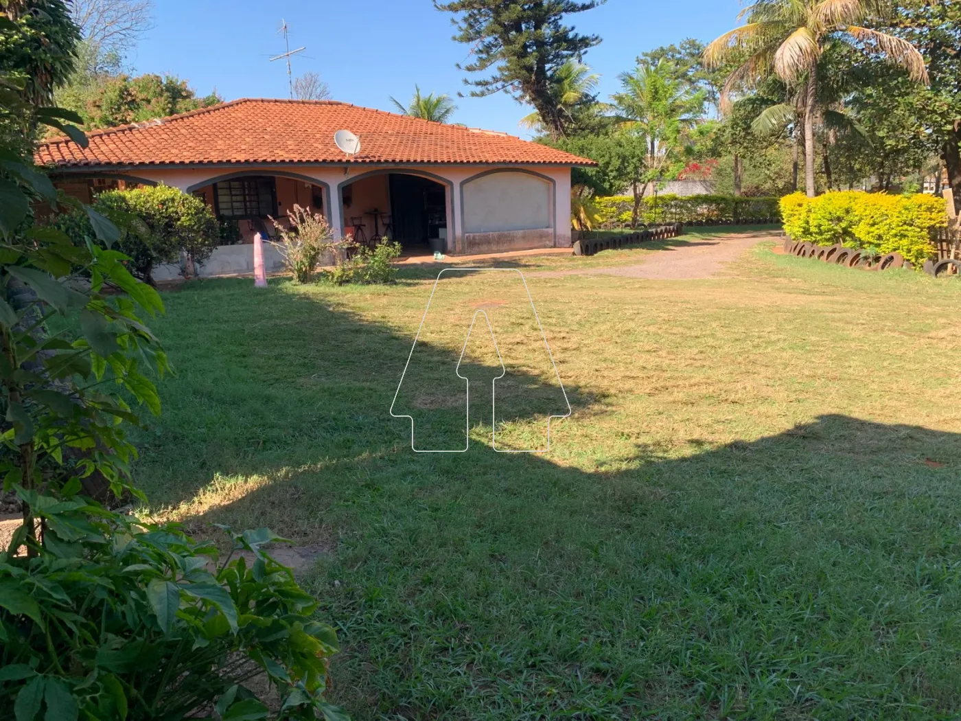 Comprar Rural / Chácara em Araçatuba R$ 680.000,00 - Foto 4