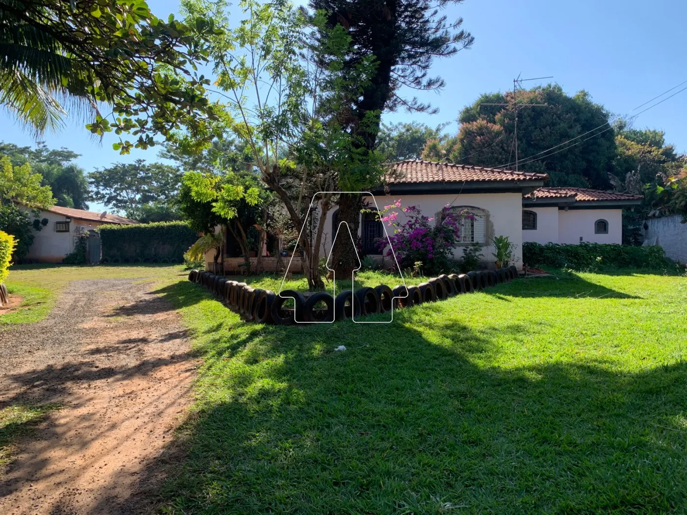 Comprar Rural / Chácara em Araçatuba R$ 680.000,00 - Foto 5