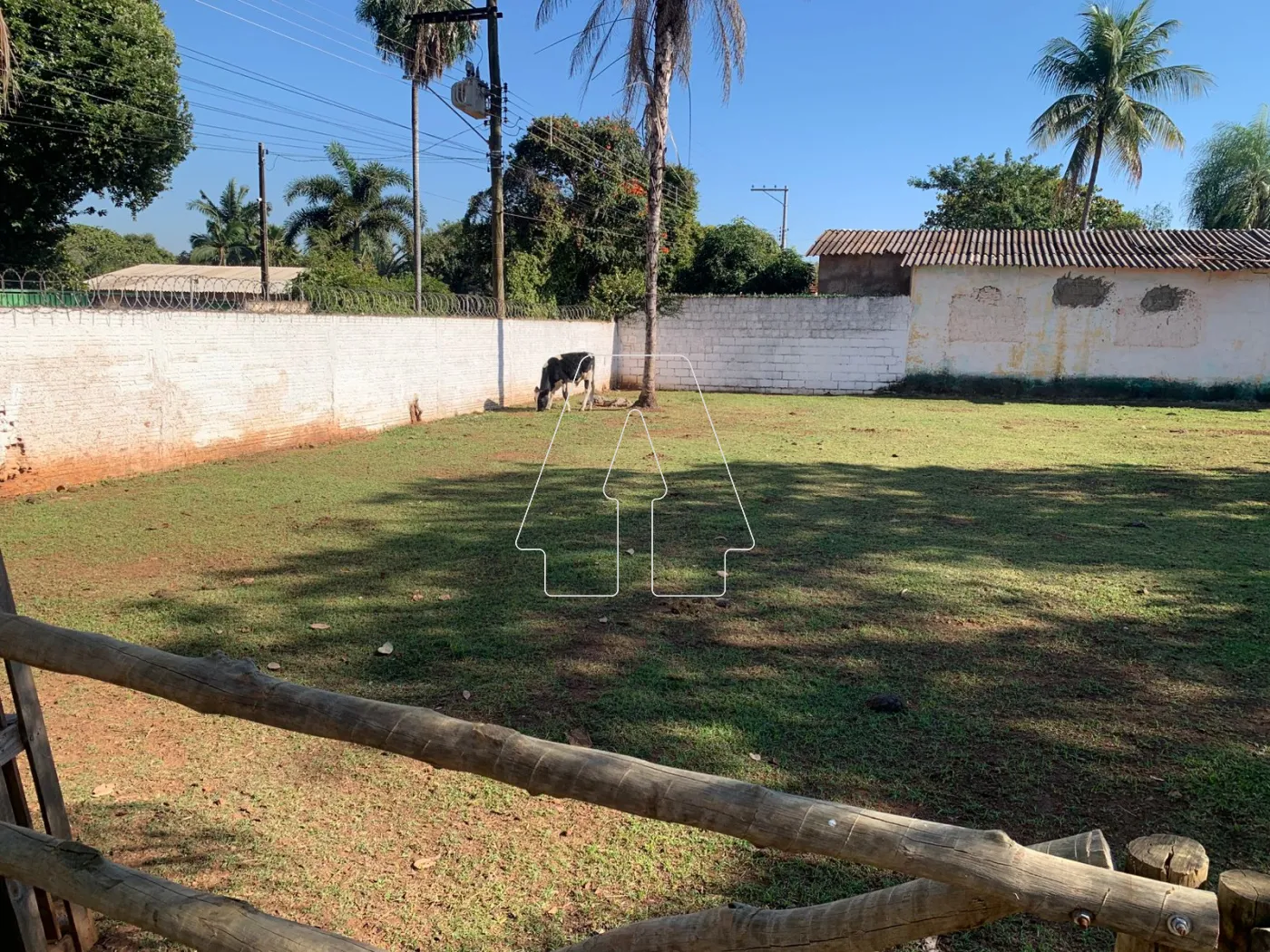 Comprar Rural / Chácara em Araçatuba R$ 680.000,00 - Foto 6