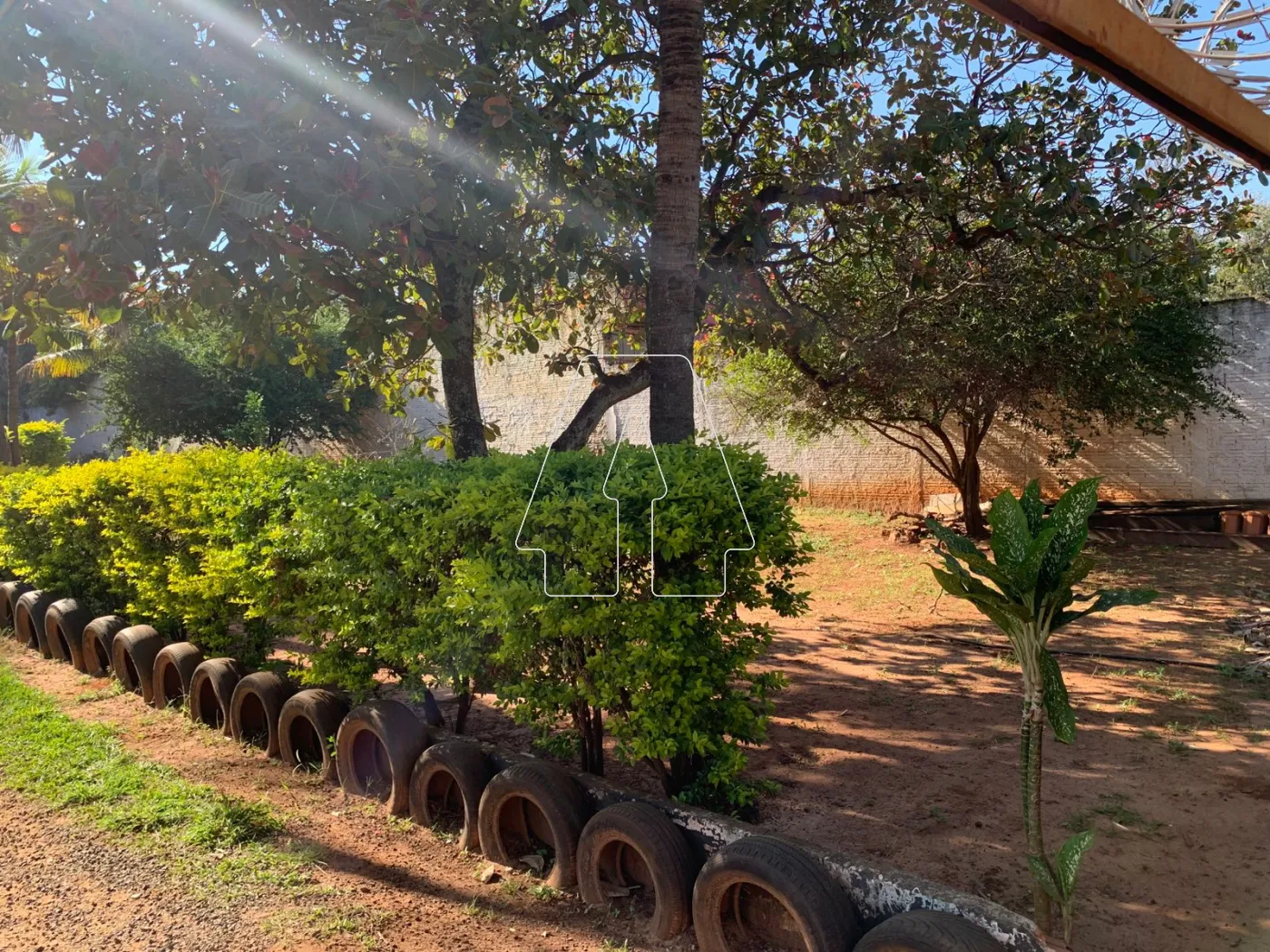 Comprar Rural / Chácara em Araçatuba R$ 680.000,00 - Foto 8