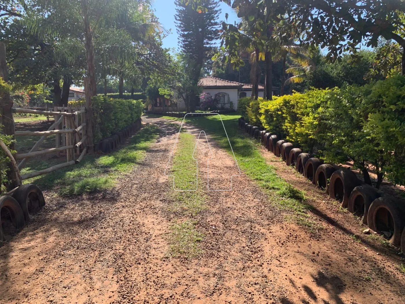 Comprar Rural / Chácara em Araçatuba R$ 680.000,00 - Foto 9