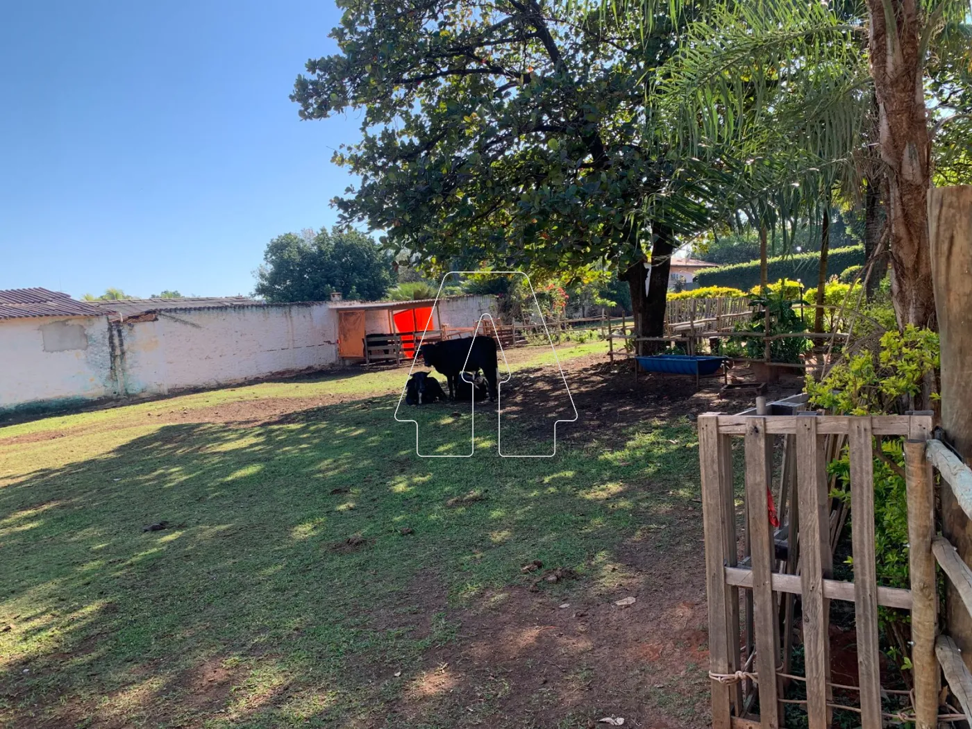 Comprar Rural / Chácara em Araçatuba R$ 680.000,00 - Foto 10