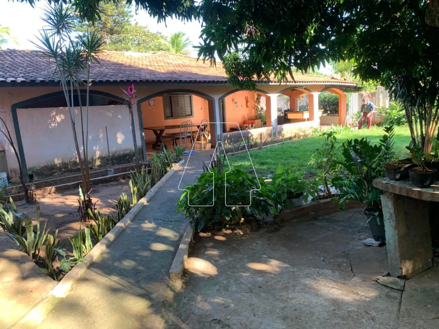 Comprar Rural / Chácara em Araçatuba R$ 680.000,00 - Foto 11