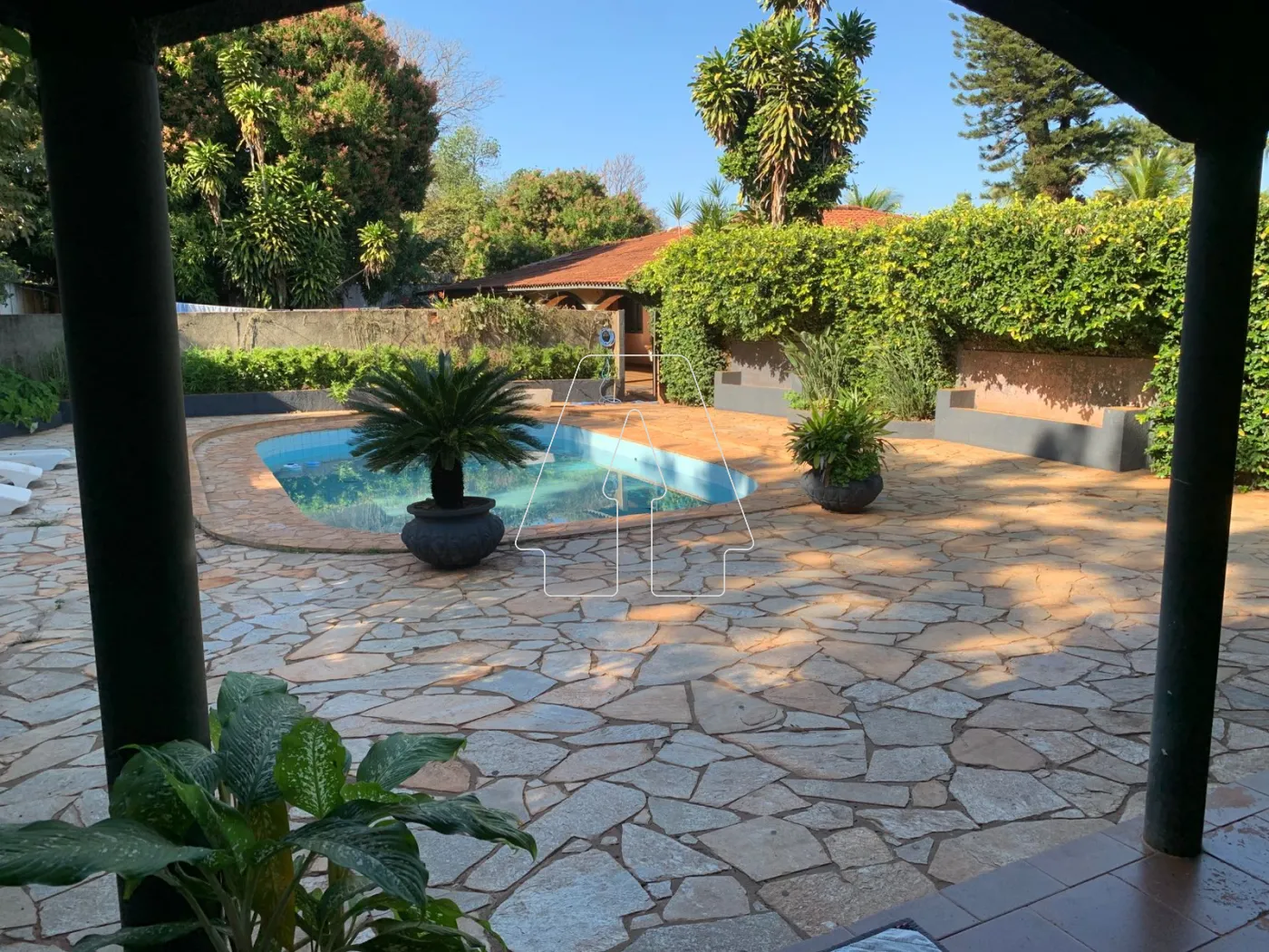 Comprar Rural / Chácara em Araçatuba R$ 680.000,00 - Foto 12