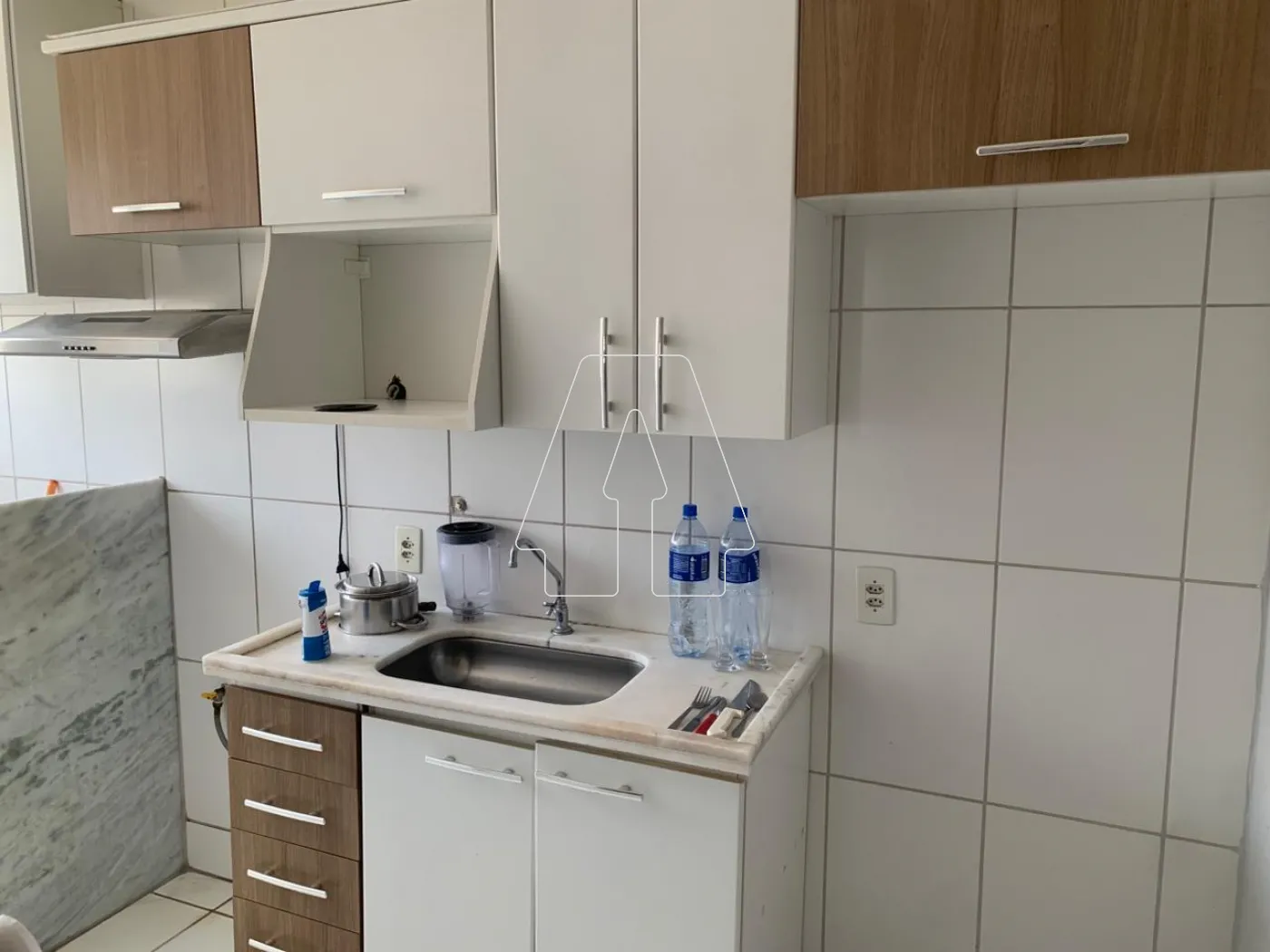 Alugar Apartamento / Padrão em Araçatuba R$ 1.550,00 - Foto 3