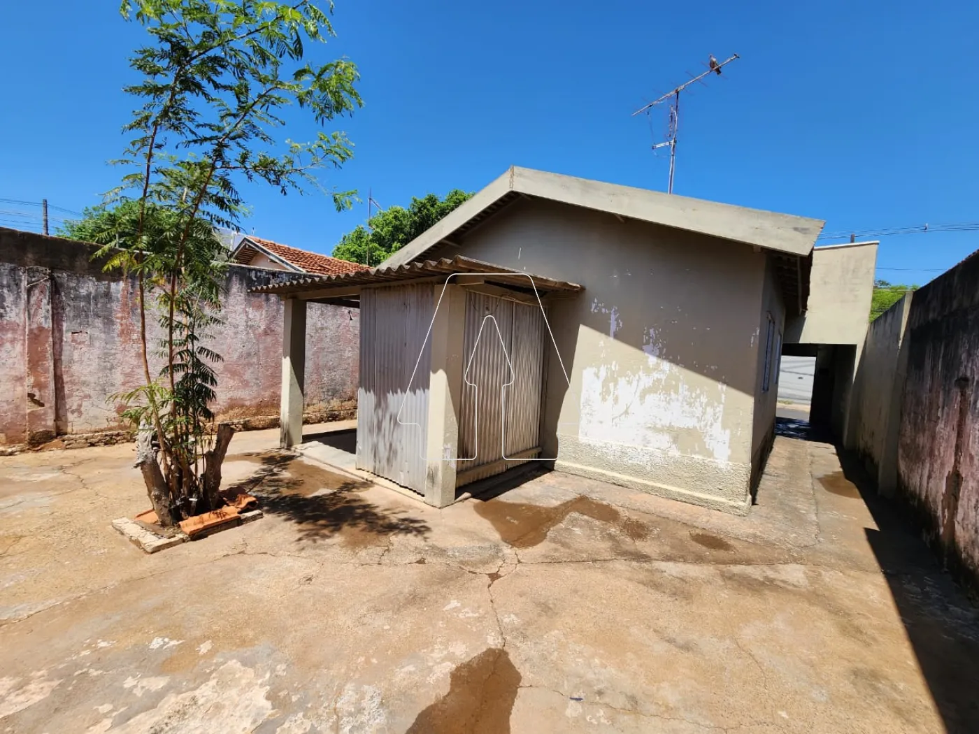 Alugar Casa / Residencial em Araçatuba R$ 900,00 - Foto 9