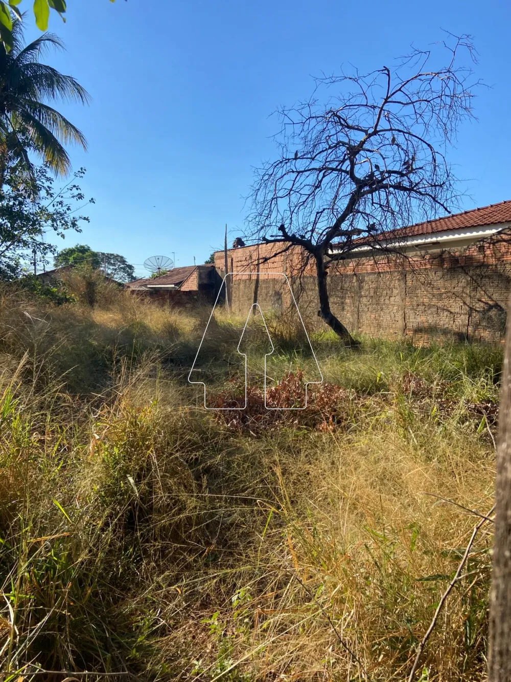 Comprar Terreno / Padrão em Araçatuba R$ 110.000,00 - Foto 3