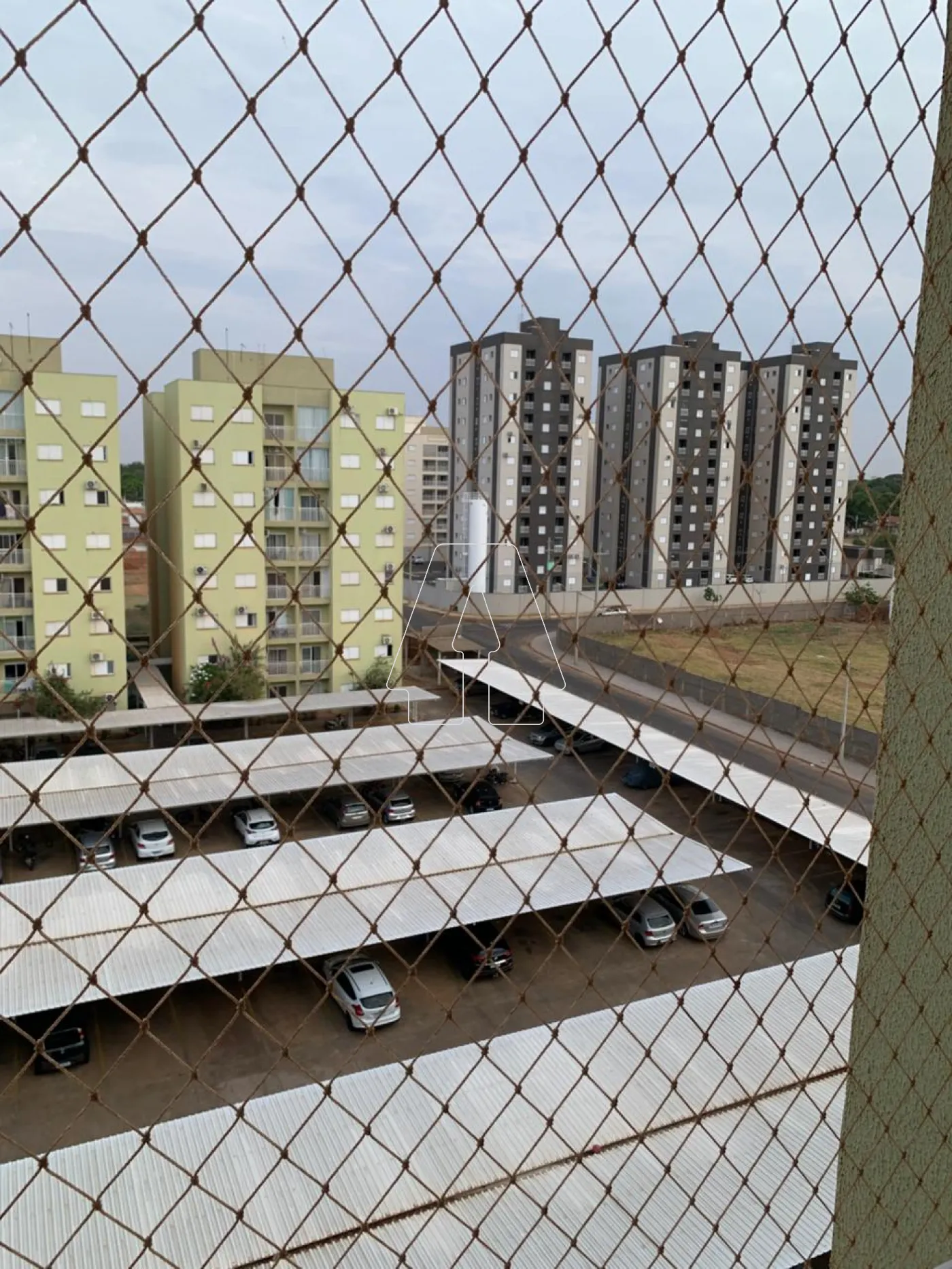 Alugar Apartamento / Padrão em Araçatuba R$ 2.100,00 - Foto 10