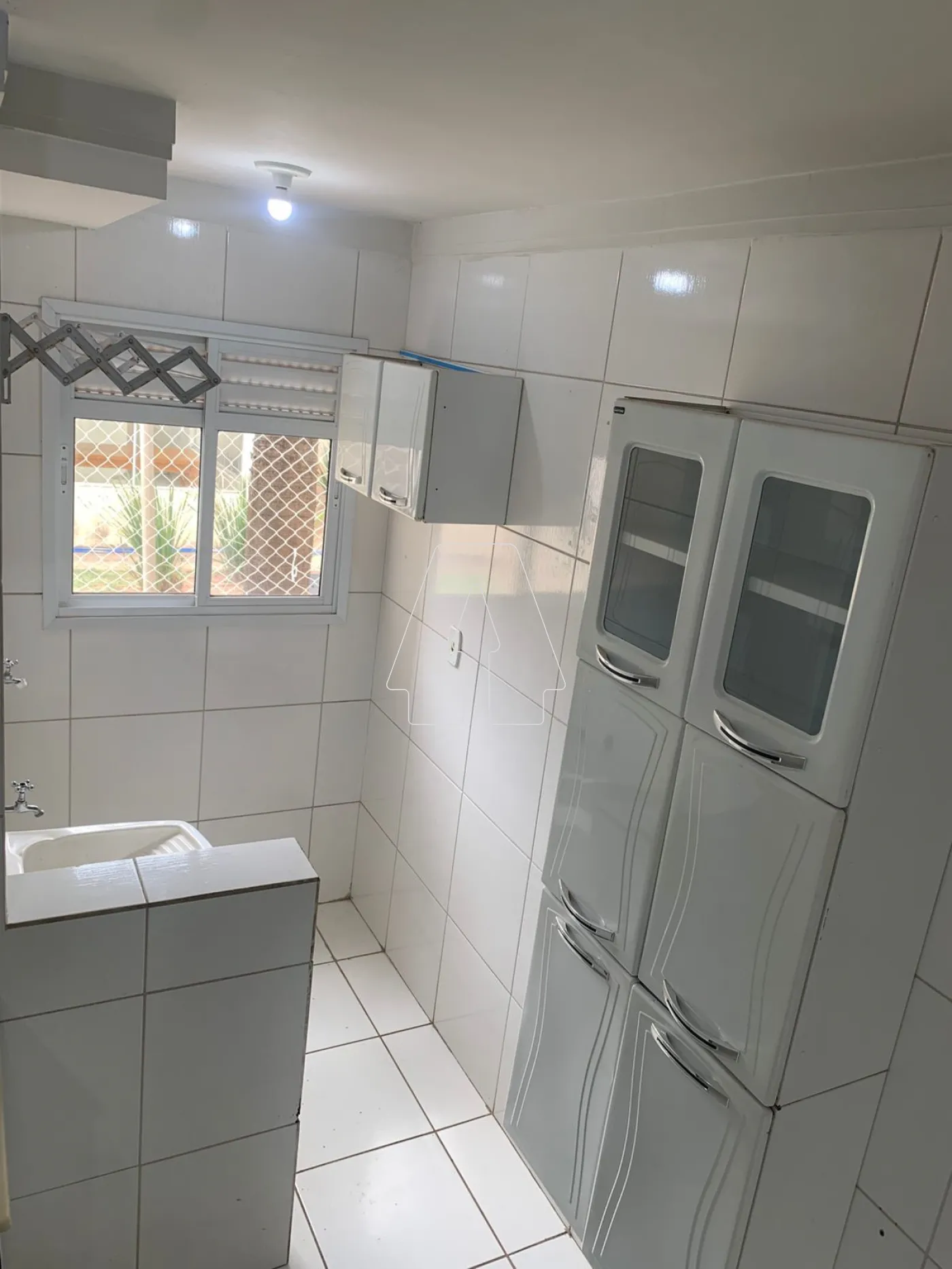 Alugar Apartamento / Padrão em Araçatuba R$ 950,00 - Foto 5
