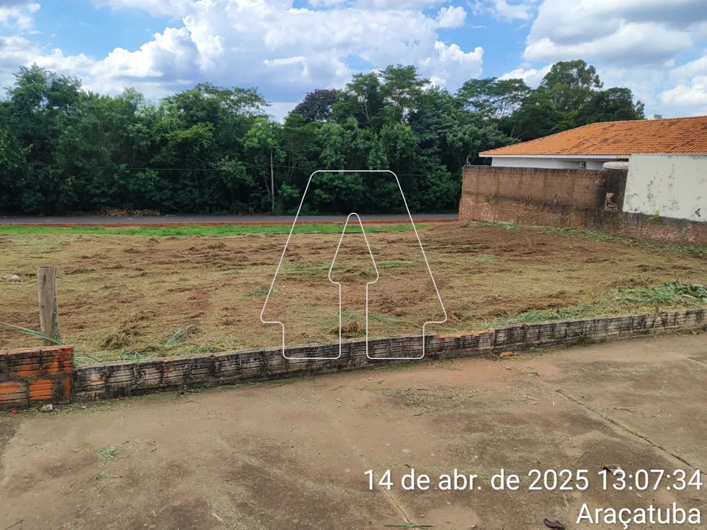 Comprar Terreno / Padrão em Araçatuba R$ 285.000,00 - Foto 1