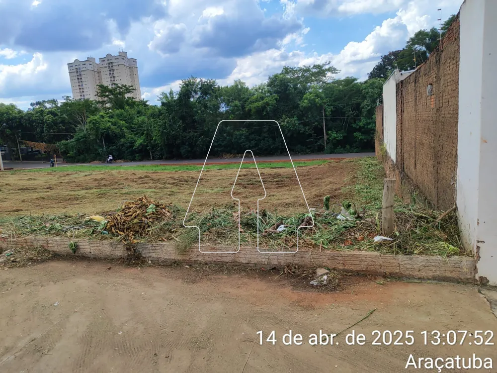 Comprar Terreno / Padrão em Araçatuba R$ 285.000,00 - Foto 3
