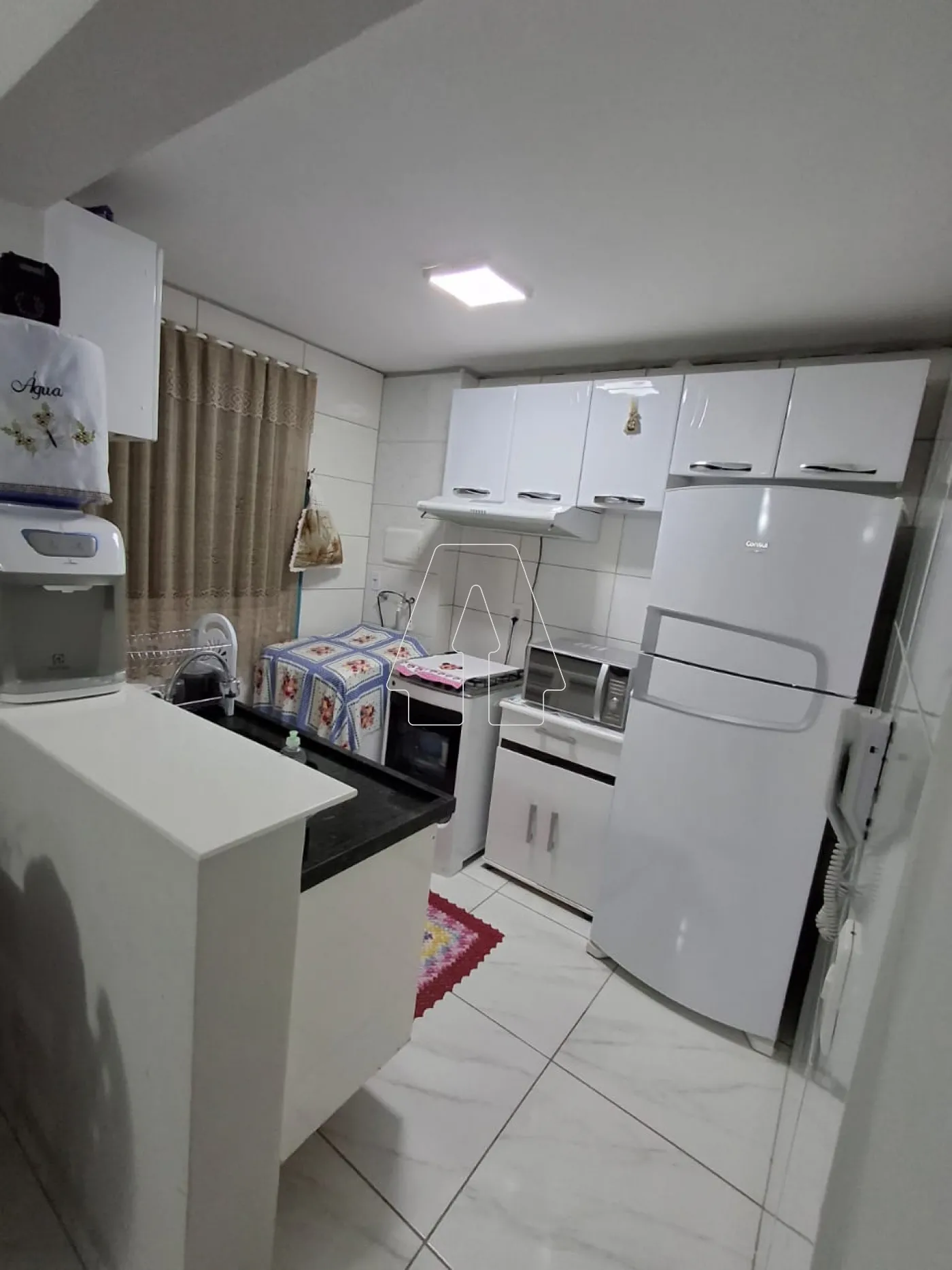 Alugar Apartamento / Padrão em Araçatuba R$ 1.200,00 - Foto 4