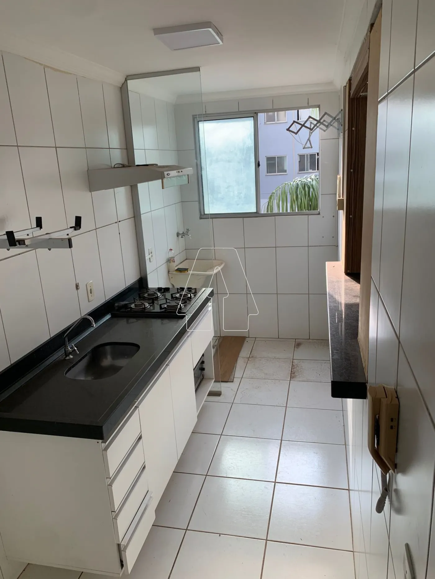 Alugar Apartamento / Padrão em Araçatuba R$ 1.500,00 - Foto 3