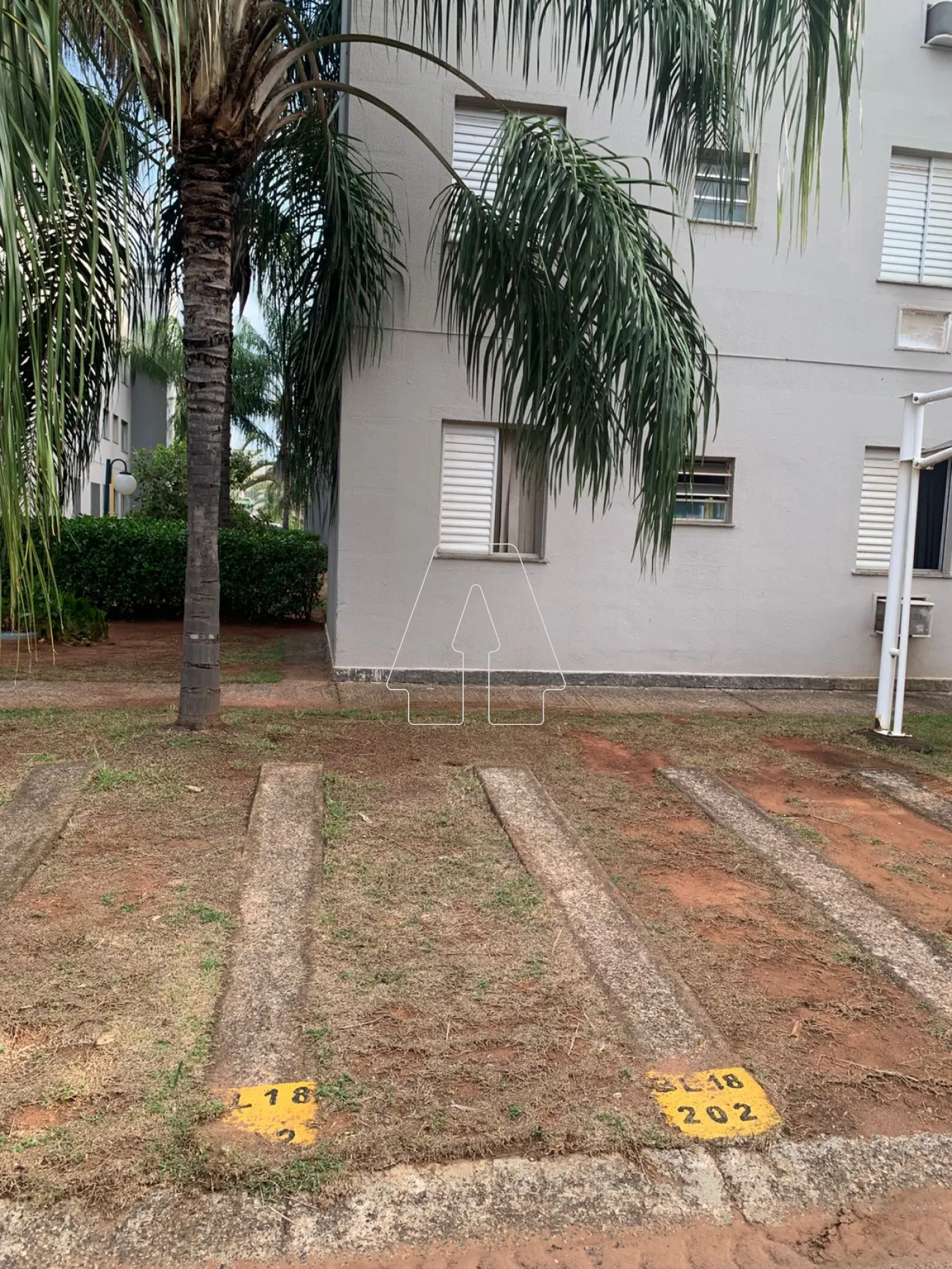 Alugar Apartamento / Padrão em Araçatuba R$ 1.500,00 - Foto 12