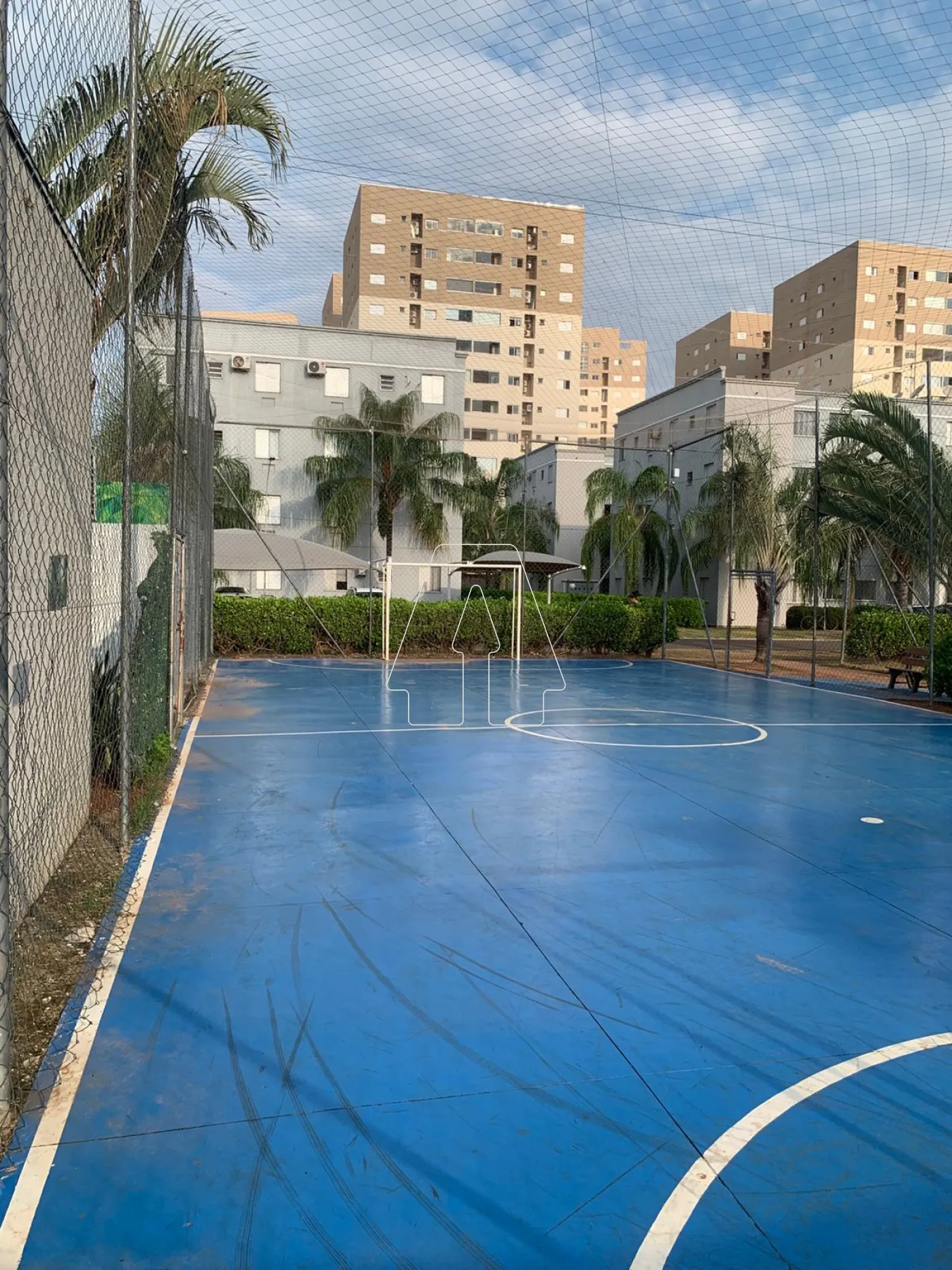 Alugar Apartamento / Padrão em Araçatuba R$ 1.500,00 - Foto 14