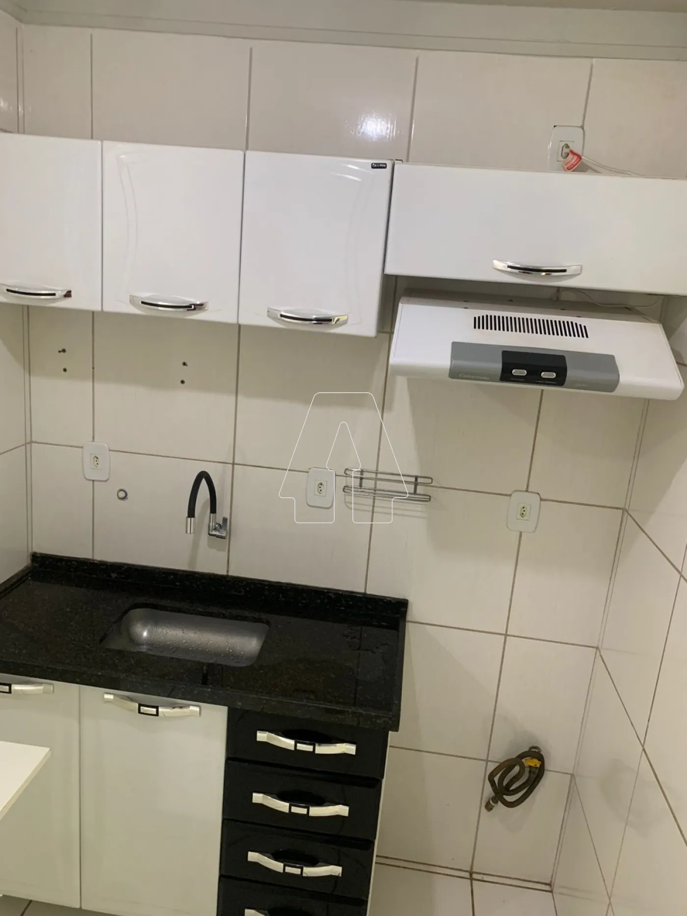 Alugar Apartamento / Padrão em Araçatuba R$ 1.100,00 - Foto 2