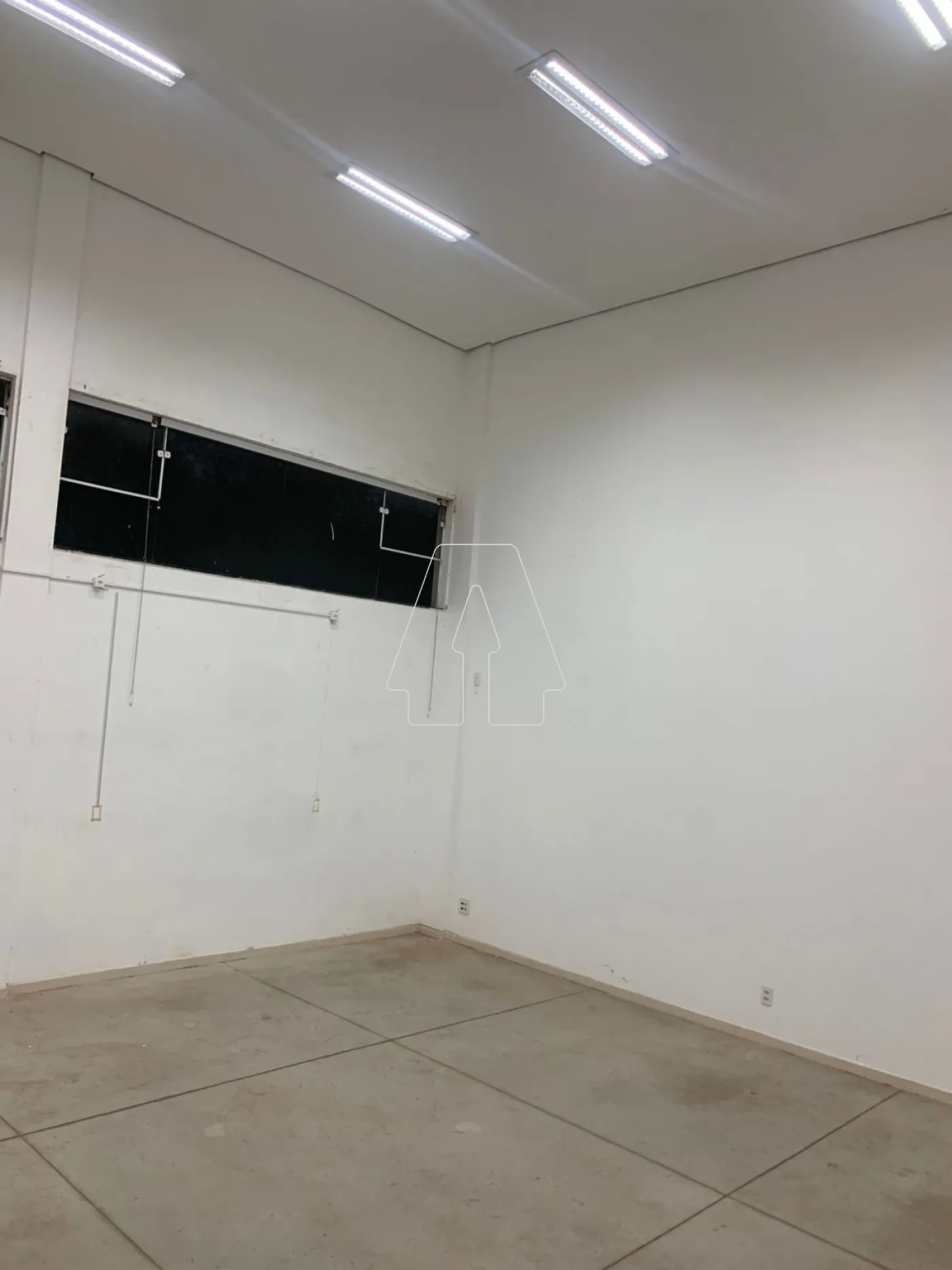 Alugar Comercial / Salão em Araçatuba R$ 15.000,00 - Foto 4